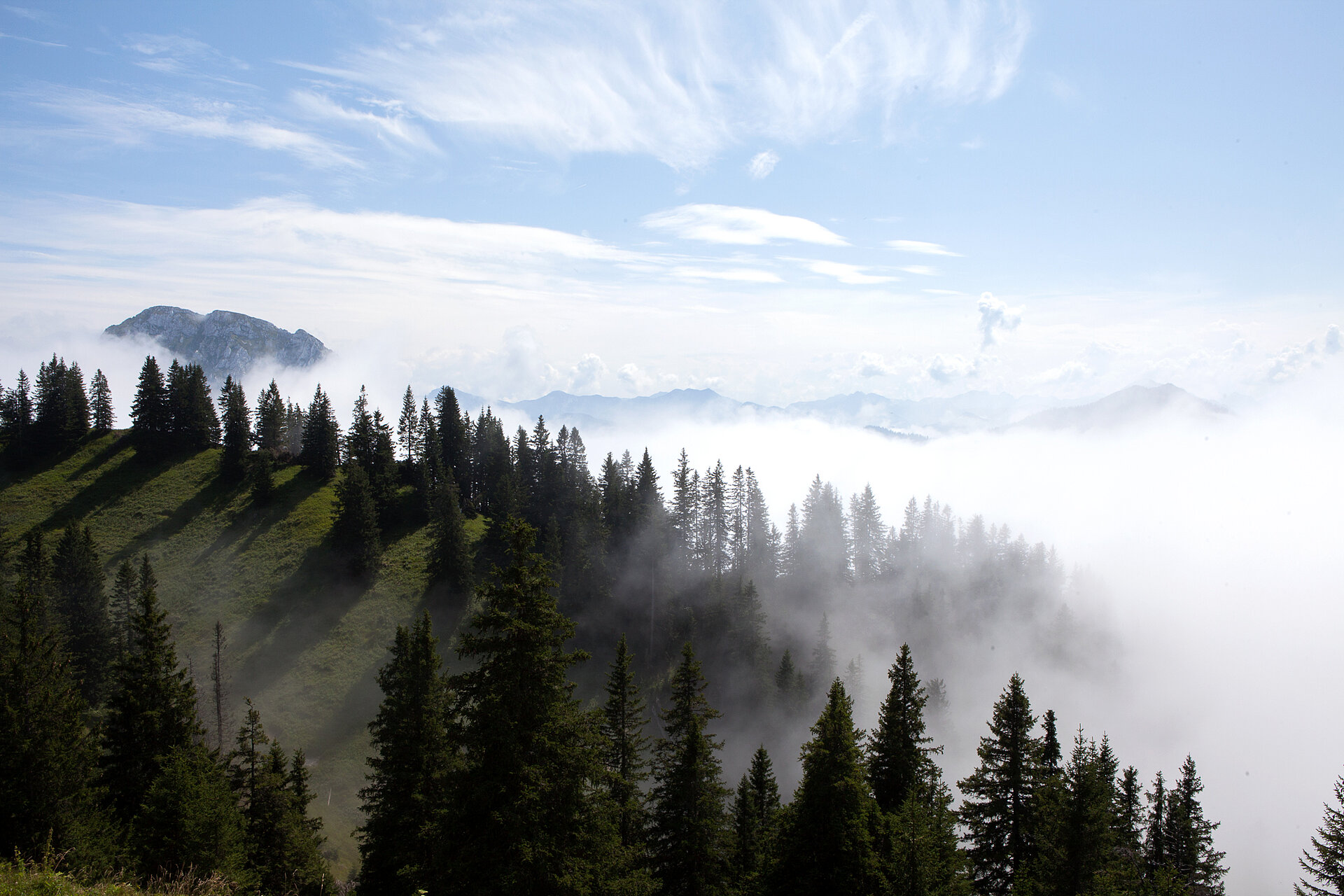 AMERON Neuschwanstein Alpsee Resort & Spa Themen Wandern Aussenansicht